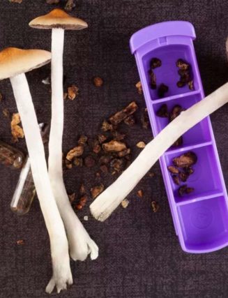 Are There Any Health Benefits to Eating Magic Mushrooms?