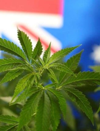 Cannabis Use In Australia Rose Significantly During First COVID-19 Lockdown